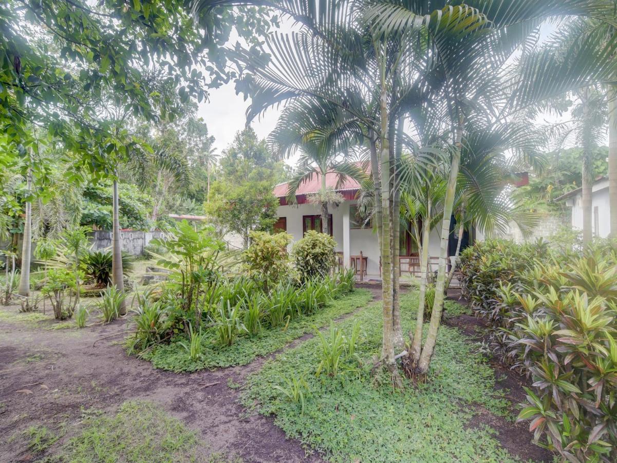 Oyo 90988 Tangkoko Jungle Homestay Rinondoran Экстерьер фото